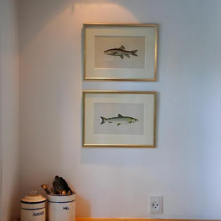 Hjortekaer Vila *